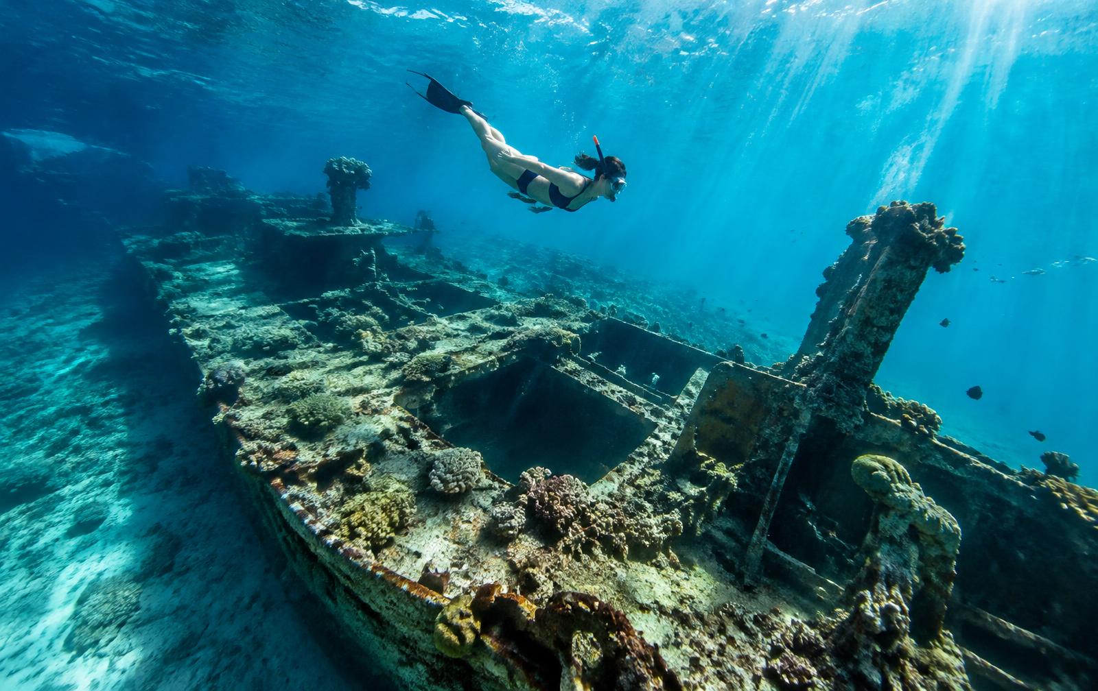 Reefs & Wrecks Tour